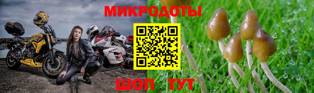 Мичуринск  Галлюциногенные грибы GOLDEN TEACHER  Галлюциногенные грибы мицелий  Вход с VPN 